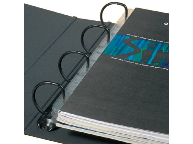 Opbergstrip Djois filestrip A4 2/4rings tr 50st