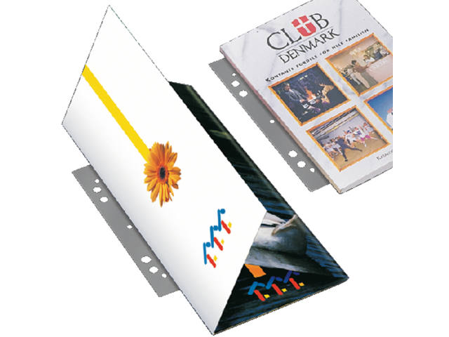 Opbergstrip Djois filestrip 125mm 2rings tr